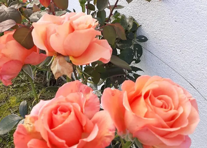 Bed & Breakfast Seven Stars *