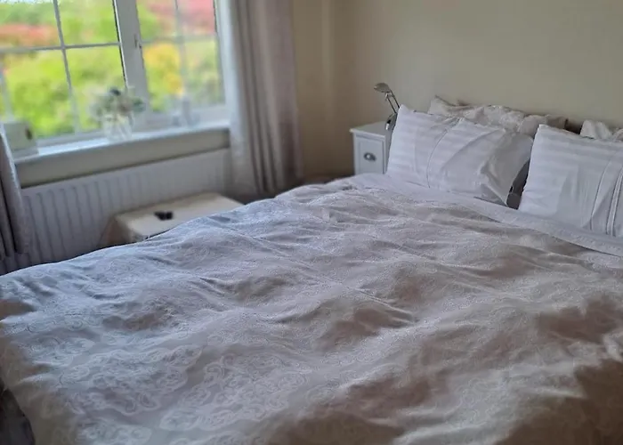 Seven Stars * Portarlington